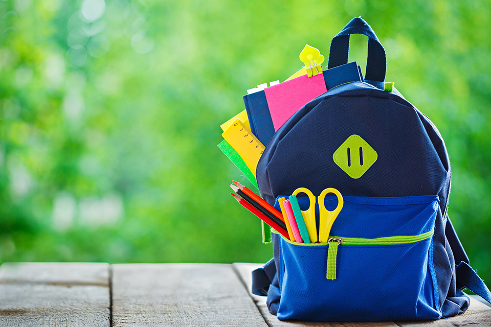Как выбрать рюкзак для школы | Какой школьный рюкзак с ортопедической спинкой лучше выбрать | hotline.ua