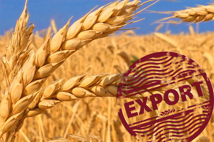 Аграрний експорт з України
