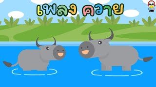 เพลงควาย แม่ควายและลูกควาย Buffalo song