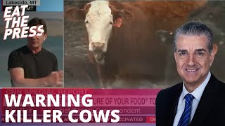 CNN Warns Killer Cows Threaten Our Survival