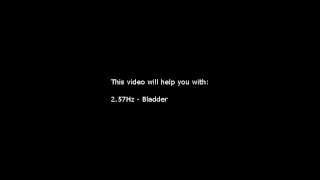 Bladder (Isochronic Tones 2.57 Hz) Pure Series