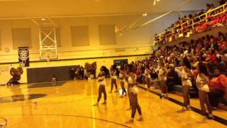 Prancing Tigerettes vs. Dancing Dolls