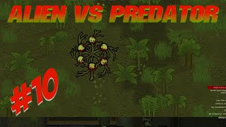 ? Yuck what have we made!!!! | Rimworld alien vs predator mod  | Ep 10