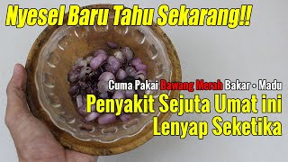 JANGAN BURU-BURU BELI OBAT BEBAS... SEMBUHKAN PENYAKIT SEJUTA UMAT INI DG BAWANG MERAH BAKAR & MADU