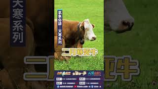 〈氣象俗諺 天寒系列〉｜阿愷佮你講 EP06