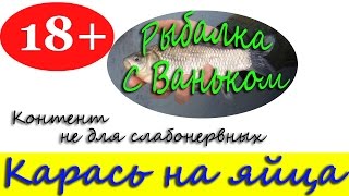Рыбалка 18+.  Карась на яйца!