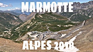 LA MARMOTTE 2018