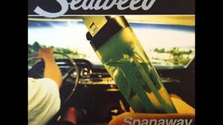 Seaweed - Free Drug Zone