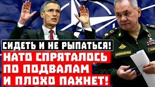НАТО спряталось и пахнет! У США не осталось настоящих союзников!