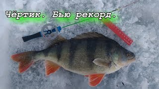Рыбалка на Чёртик. Бью свой рекорд по окуню.