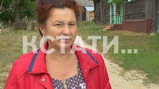 Вырвавшийся с пасеки рой пчел закусал жительницу деревни до судорог и удушья