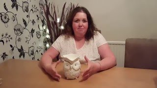 Scentsy Whoot Owl Electric Scented Wax Warmer