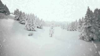 Футаж Через лес
