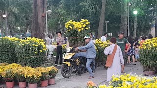 Đi Chợ Hoa Công Viên 23/9 Ở Sài Gòn Chiều 28 Tết