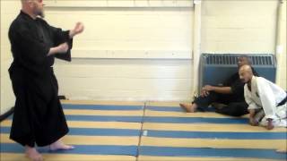 aikijujutsu gathering 2015