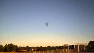 Trex 600 EFL pro 3d flight good one