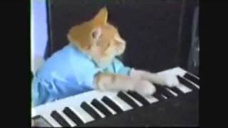 Keyboard Cat [loop]