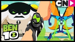 Ben 10 Deutsch | Die Herausforderung! | Cartoon Network