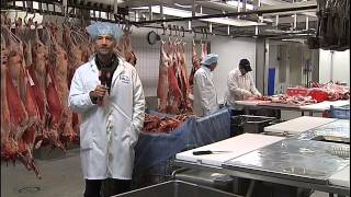 Qibbla Halal kött