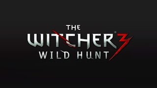The Witcher 3: Wild Hunt | AMD FX-8350 | GTX 760 4GB