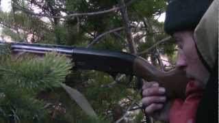 Весенняя охота на косача ( hunting for grouse )
