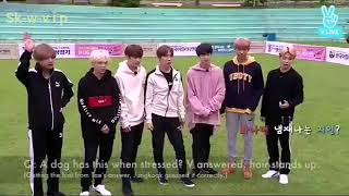 BTS-WITH THE DOGS