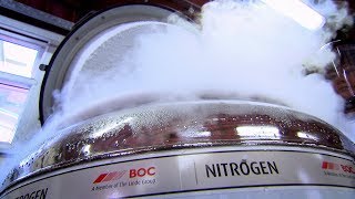 Testing Breast Tissue for Cancer | Earth Lab