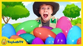 Easter Egg Search for Giant Surprise Eggs with Toys in Family Fun Kids Video