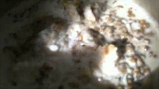 How to Make Mseto