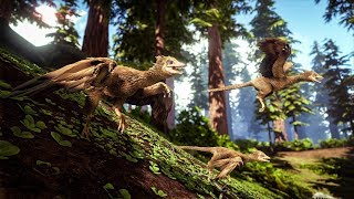 ARK развиваюсь после рейда.