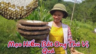 Khi Chưa Dịch Virus Corona Chúng Tôi Trải Nghiệm Qúa Trình Bắt Ong Gió Rừng Cực Độc Và Rất Thú Vị