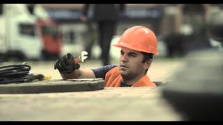 BBDO birds