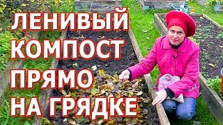 Ленивый компост за 2 минуты прямо на грядке! Супер способ!???