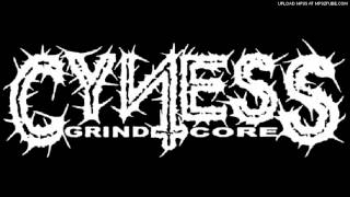 Cyness - Grintro