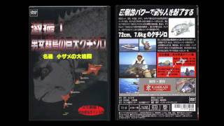 男女群島の巨大クチジロ　ＤＶＤ
