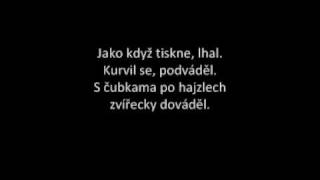 Záviš - Zemřel mi kamarád (s textem)