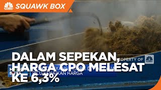 Market Bites: Harga CPO Melesat & Produksi Migor Murah BUMN