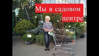 Поехали в Садовый центр Дарвин. Купили саженцы.