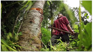 Shwood for Pendleton |♢| Cascadian Collaborative