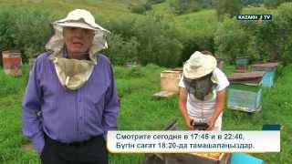 "Discovering Kazakhstan"