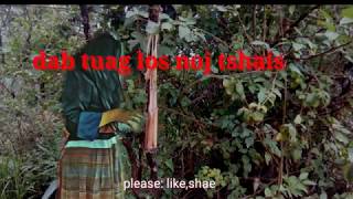 mus yos hluas nkauj los pom dab tuag