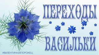Переходы Васильки Proshow Producer
