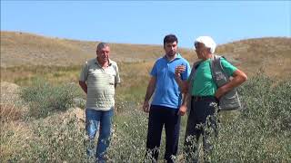 Южная Армения. Подбор участка для закладки орехового сада для Гевора Тевоса. Сентябрь 2017г