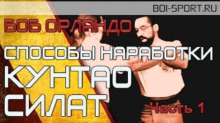 Боб Орландо. Способы наработки в Кунтао Силат. Часть 1