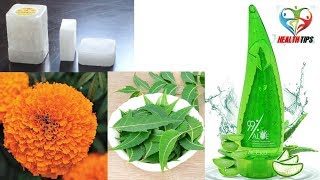 नीम के पत्ते, एलोवेरा जेल, गेंदे के फुल और कपूर के इस मिश्रण से सोरायसिस को हमेशा के लिए नष्ट करें