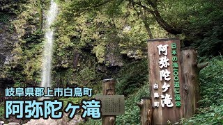 【岐阜県郡上市】白鳥町 阿弥陀ヶ滝