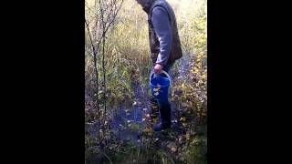Сбор грибов в сибирском лесу
