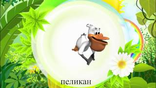 Стихи для малышей об экзотических птицах. Фламинго, страус, аист, пеликан, павлин. Наше всё!