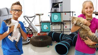 Testing Cat Toys on our Cats!!!!