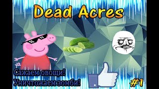 Прохождение Dead Acres #1 / Сажаем овощи!